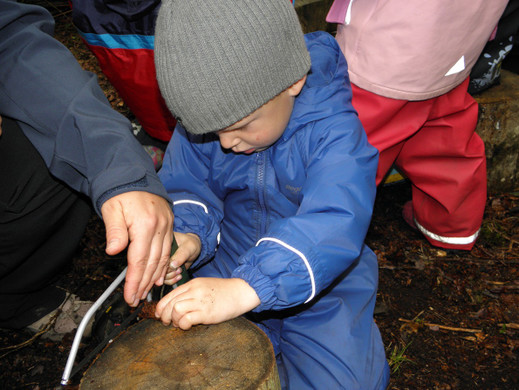 P6241036 - Kopie.JPG