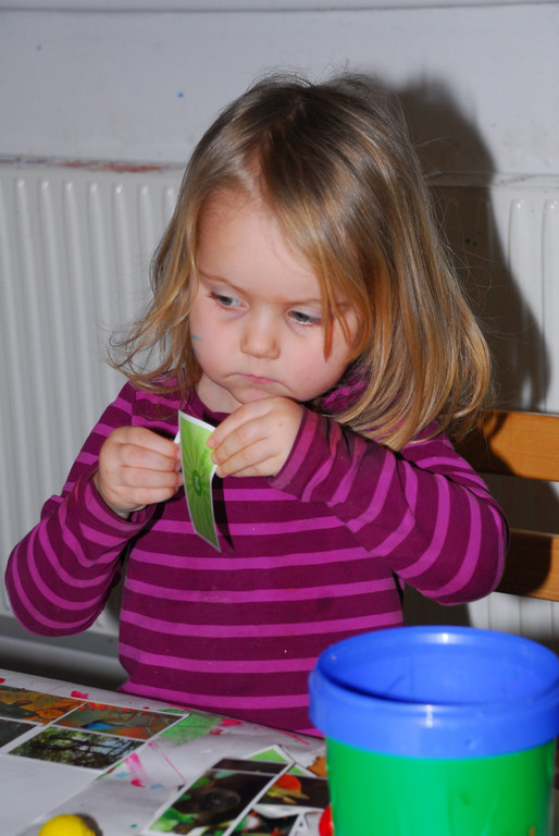 ANF_6702.JPG
