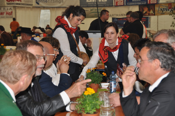 DSC_0204_JPG-1308939094