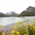 Silvretta Stausee07.jpg
