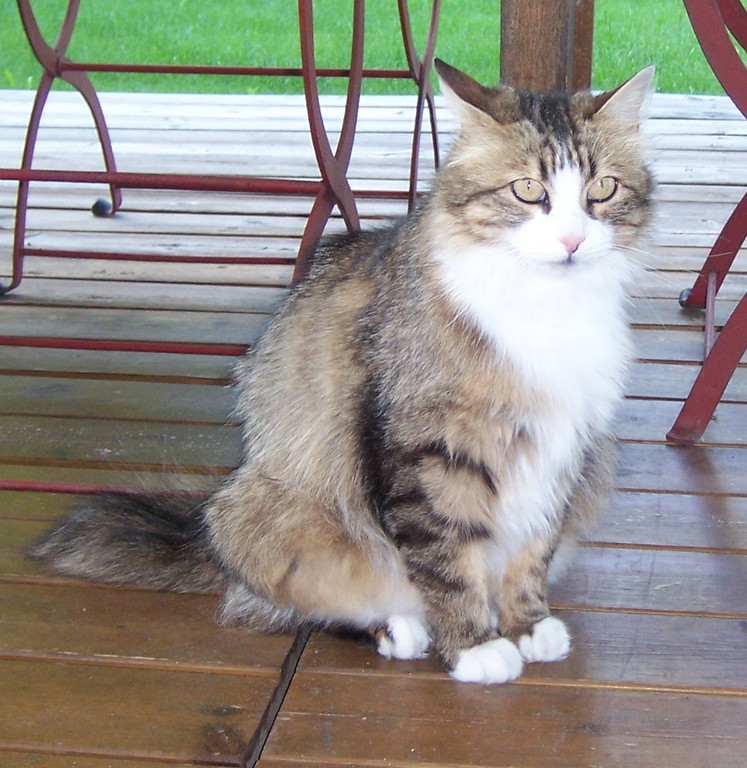 100_0571_JPG-1308988174