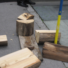 IMG_8817_JPG-1308989125