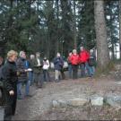 Meditation am Waldesrand