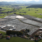 Strasswalchen071008024.jpg