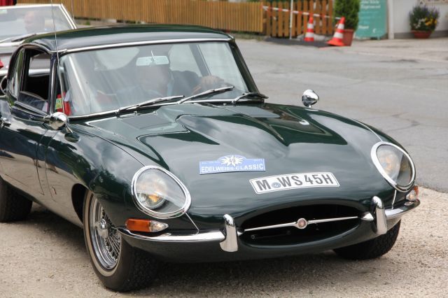 normal_25062011edelwrlaktivnews__26_.jpg