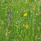 DSCN0105.JPG
