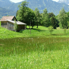 DSCN0159.JPG
