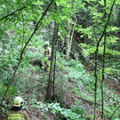 normal_25062011felsffaktivnews_12.jpg