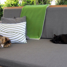 IMG_1738_JPG-1309019307