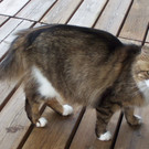 100B0680_JPG-1309019342