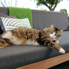 IMG_1739_JPG-1309019705