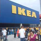 DSC00120.jpg