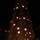 DSC01831.jpg