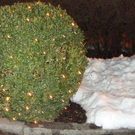 DSC01866.jpg