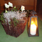 DSC01873.jpg