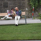normal_25062011fairkehrdsaktivnews_67.jpg