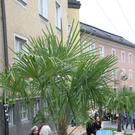 25062011fmt_streetlifefm_12.jpg