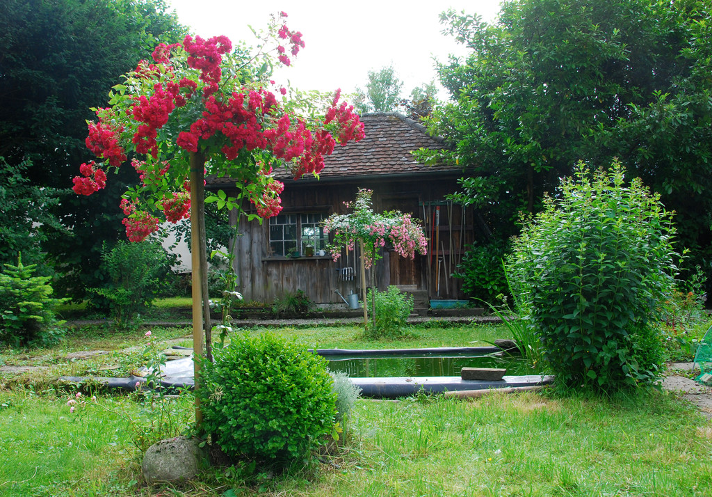 klaraschwestern17_jpg-1309088253