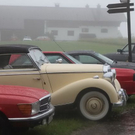 normal_26062011edelweissclassicffaktivnews_012.jpg