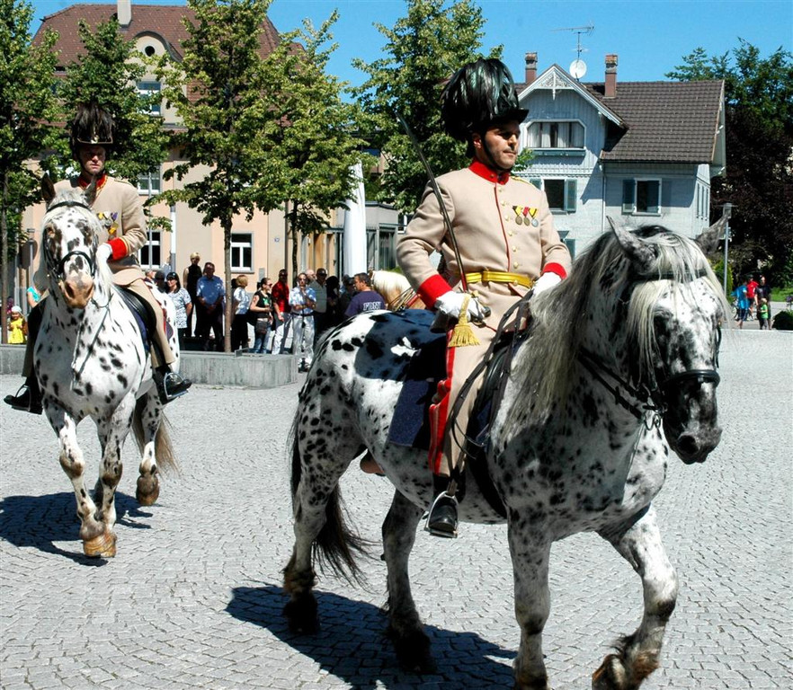 Pferde Artillerie 1_jpg-1309100709