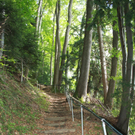 Wanderweg Haggen Neue Schanze NEU 2011 _8__jpg-1309110577