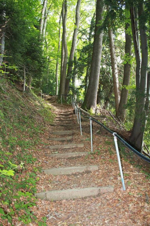 Wanderweg Haggen Neue Schanze NEU 2011 _8__jpg-1309110577