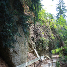 Wanderweg Haggen Neue Schanze NEU 2011 _9__jpg-1309110599
