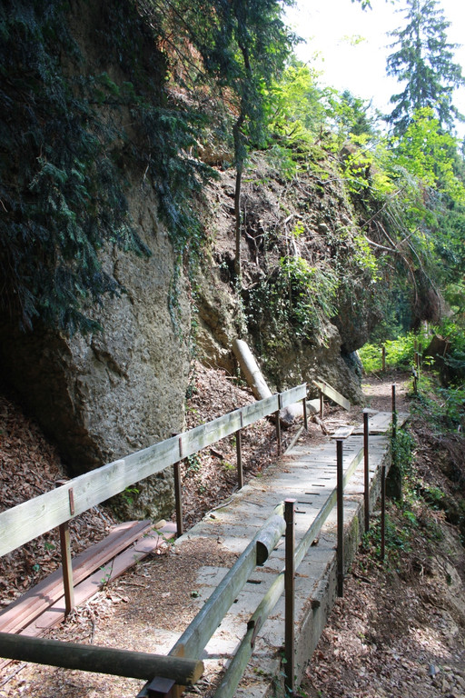 Wanderweg Haggen Neue Schanze NEU 2011 _9__jpg-1309110599