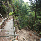 Wanderweg Haggen Neue Schanze NEU 2011 _1__jpg-1309110470