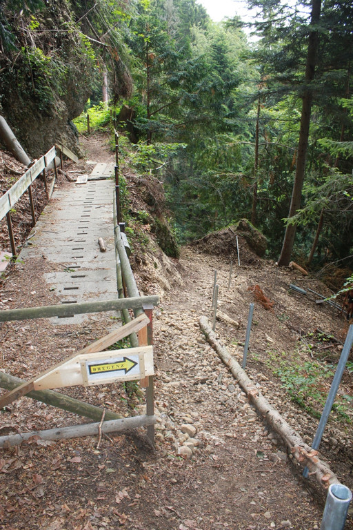 Wanderweg Haggen Neue Schanze NEU 2011 _1__jpg-1309110470