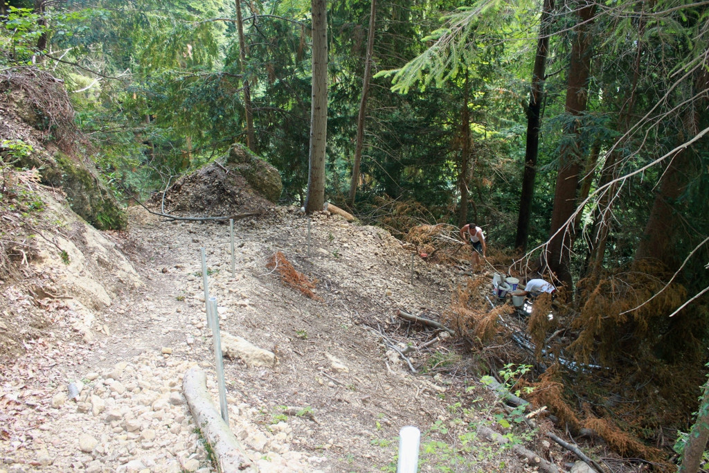 Wanderweg Haggen Neue Schanze NEU 2011 _10__jpg-1309110623