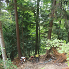 Wanderweg Haggen Neue Schanze NEU 2011 _32__jpg-1309111091