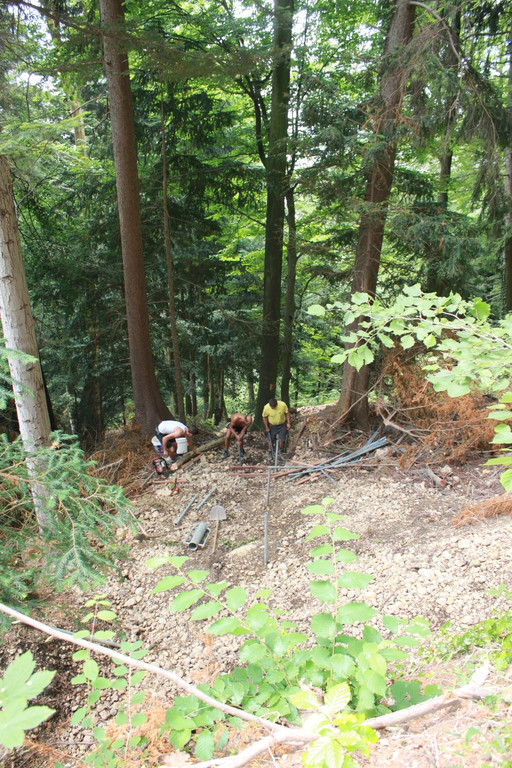 Wanderweg Haggen Neue Schanze NEU 2011 _32__jpg-1309111091