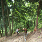 Wanderweg Haggen Neue Schanze NEU 2011 _13__jpg-1309110690