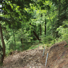 Wanderweg Haggen Neue Schanze NEU 2011 _16__jpg-1309110755