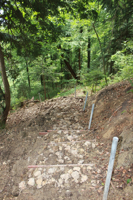 Wanderweg Haggen Neue Schanze NEU 2011 _16__jpg-1309110755