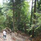 Wanderweg Haggen Neue Schanze NEU 2011 _23__jpg-1309110894
