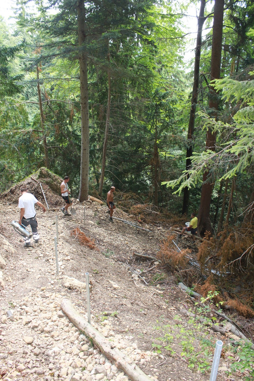 Wanderweg Haggen Neue Schanze NEU 2011 _23__jpg-1309110894