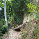 Wanderweg Haggen Neue Schanze NEU 2011 _11__jpg-1309110645