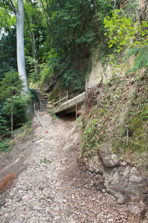 Wanderweg Haggen Neue Schanze NEU 2011 _11__jpg-1309110645