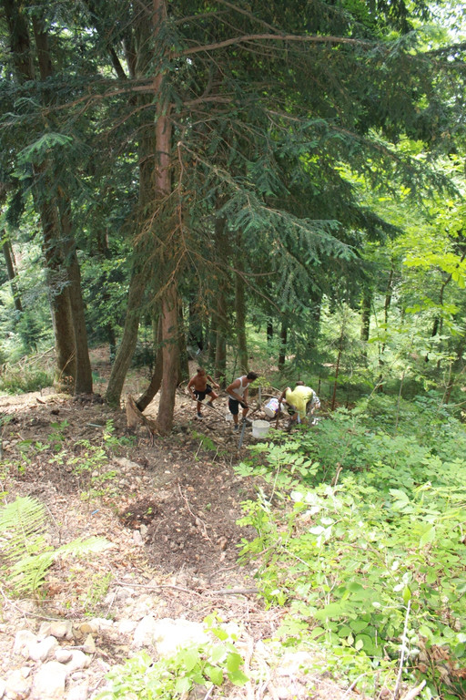 Wanderweg Haggen Neue Schanze NEU 2011 _12__jpg-1309110668