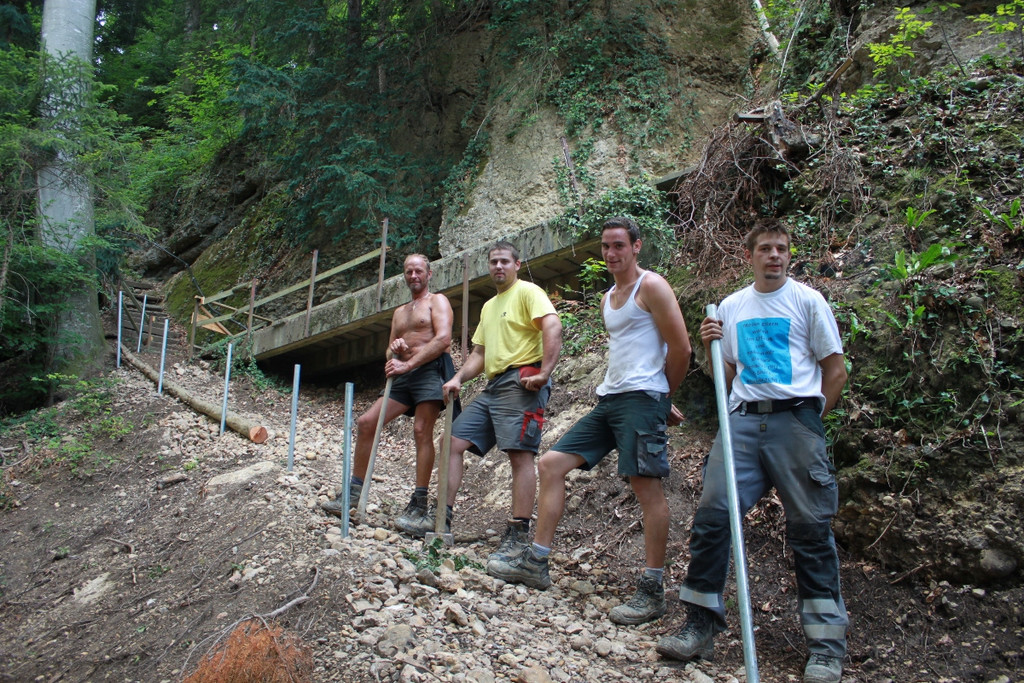 Wanderweg Haggen Neue Schanze NEU 2011 _19__jpg-1309110823