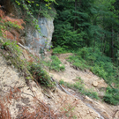 Wanderweg Haggen Neue Schanze NEU 2011 _17__jpg-1309110780