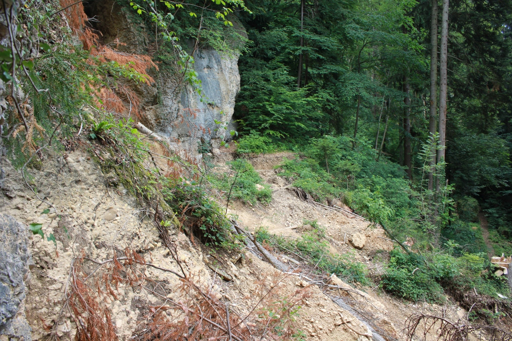Wanderweg Haggen Neue Schanze NEU 2011 _17__jpg-1309110780