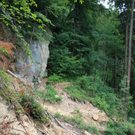 Wanderweg Haggen Neue Schanze NEU 2011 _18__jpg-1309110800