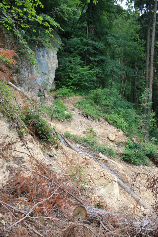 Wanderweg Haggen Neue Schanze NEU 2011 _18__jpg-1309110800