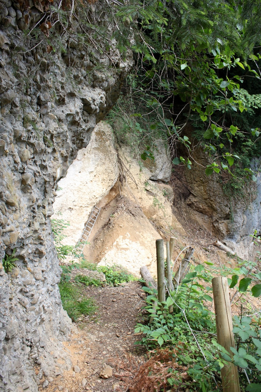 Wanderweg Haggen Neue Schanze NEU 2011 _31__jpg-1309111067