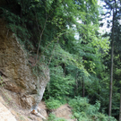 Wanderweg Haggen Neue Schanze NEU 2011 _27__jpg-1309110981