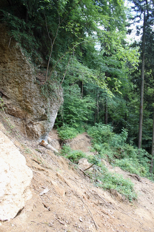 Wanderweg Haggen Neue Schanze NEU 2011 _27__jpg-1309110981