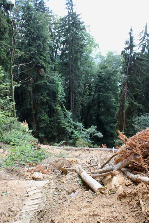 Wanderweg Haggen Neue Schanze NEU 2011 _30__jpg-1309111044